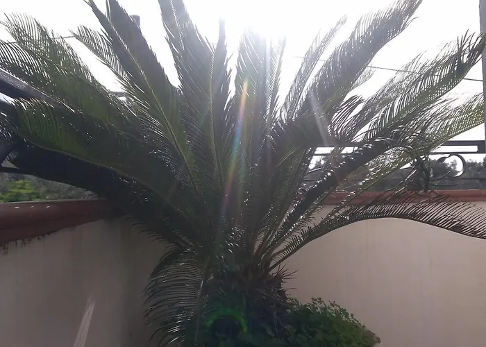 Villa Edelweiss Palmi